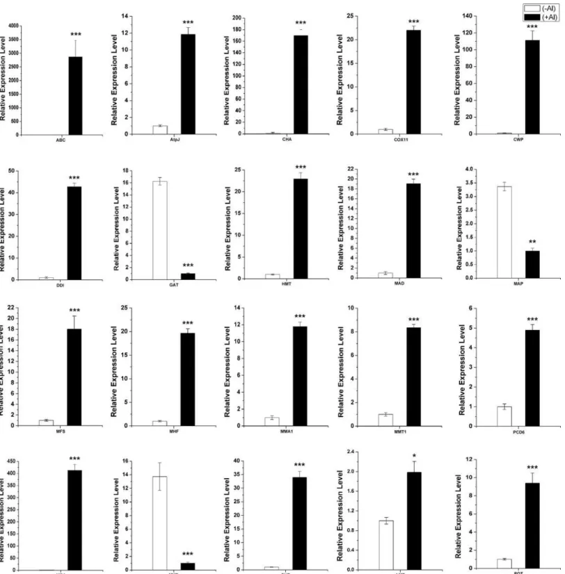 Fig 7. Expression analysis of differential expression unigenes in root and leaves under Al stress in hydrangea by quantitative real-time RT-PCR (qPCR)