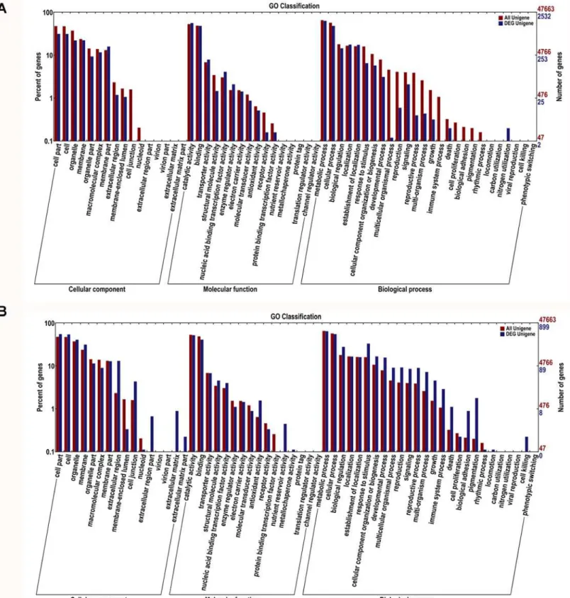 Fig 4. Gene Ontology classifications of differential expressed unigenes in roots (A) and leaves (B) under Al stress in hydrangea.