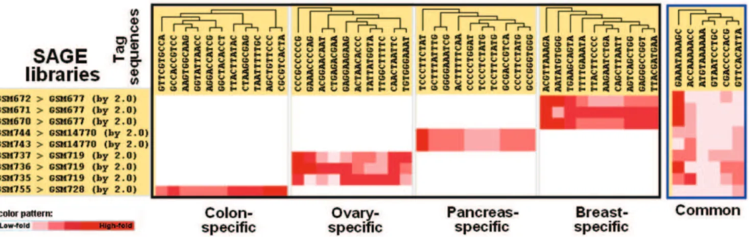 Table 1 shows that only hSAGEing, SQUAT, and GEO provide a function for matrix file creation