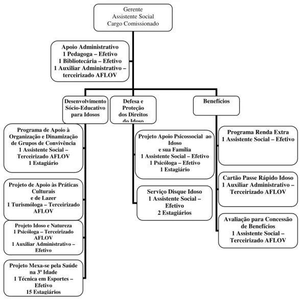 Figura 1: Fluxograma da Gerência de Atenção ao Idoso (GAI) 