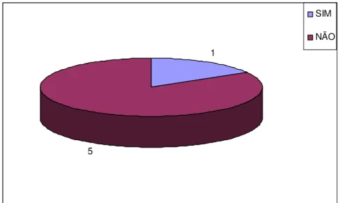 Gráfico 10 - Participa de algum programa/projeto no âmbito municipal 