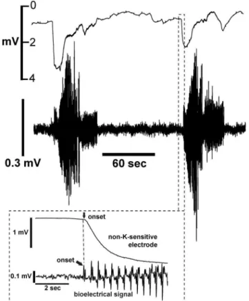 Figure 3. Upper tracing: Voltage responses of the non-K- non-K-sensitive electrode using the experimental conditions  de-scribed in Figure 2