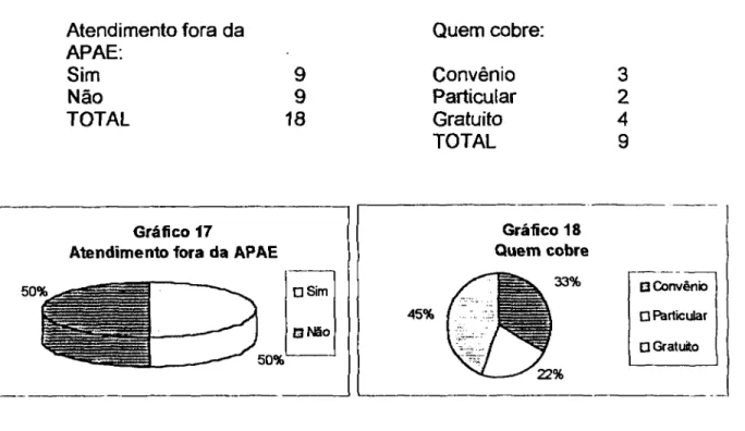 Gráfico 17