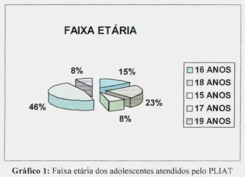 Gráfico 1: Faixa etária dos adolescentes atendidos pelo PLIAT