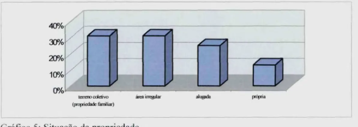 Gráfico 5: Situação da propriedade.