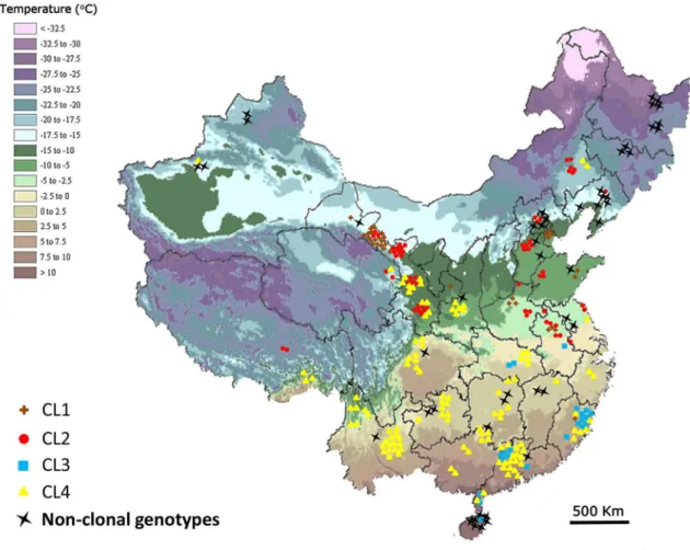 Figure 4.  Temporal distribution of clonal lineages (CLs) and non-clonal genotypes from 2006 to 2012 in China