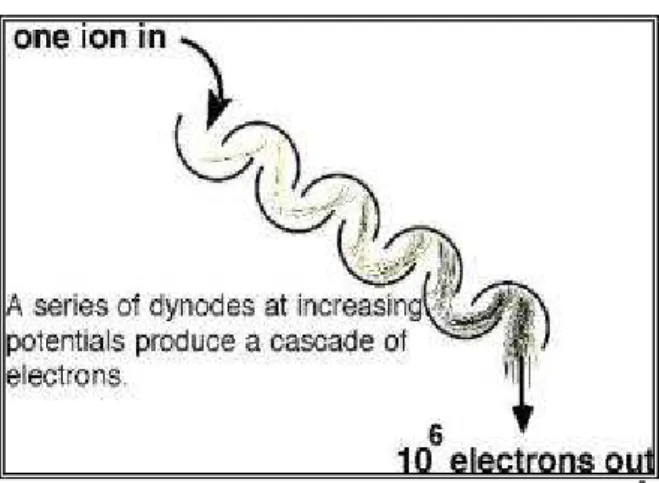 Figure 3: Continuous – Dynode Electron Multiplier 7 