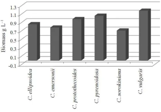 Fig. 1. Biomass content of Chlorella species under copper stress