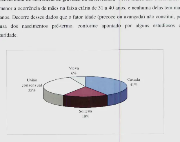 Gráfico 2: Distribuição de freqüência relativa das mães conforme o estado civil