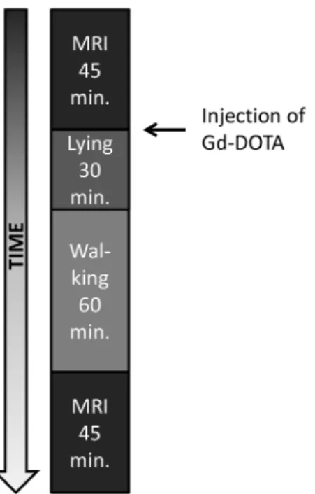 Figure 2. Protocol for dGEMRIC measurements.