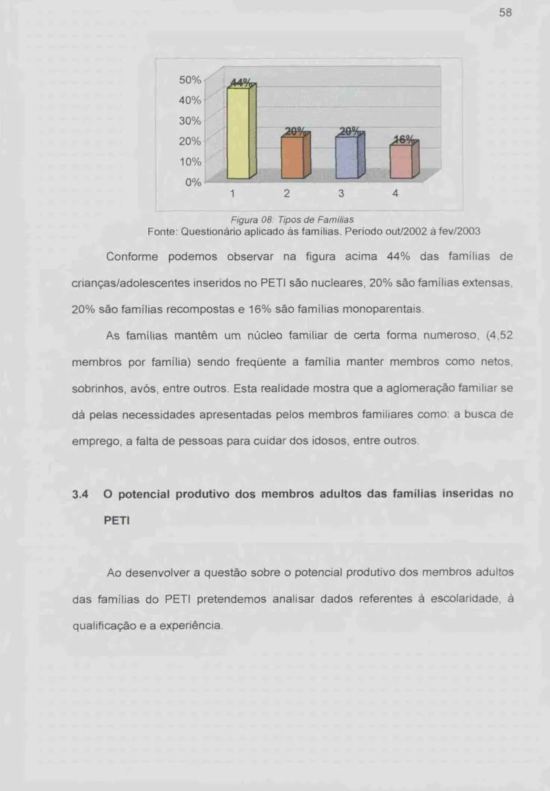 Figura 08:  Tipos de Familias 