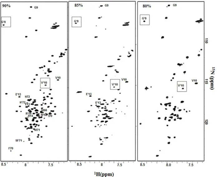 Figure 2. Slow conformational exchange in the equilibrium states. Illustrative representation of the residues showing two sets of peaks in the HSQC spectra at various DMSO dilutions, as indicated at the top left corner of the spectrum