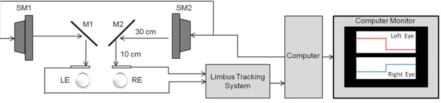 Figure 1. Haploscope experimental setup which stimulates retinal disparity while keeping accommodation constant