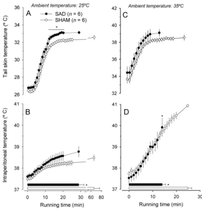 Figure  6  depicts  the  pulsatile  arterial  pressure  and  HR recordings  in  a  representative  rat  from  each  experimental group
