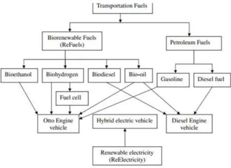 Figure 1.2.3: Use of biofuels in different transport  model in 2050 scenario [32] 