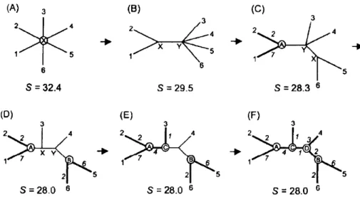 Figure 2.3- Neighbour-Joining tree phylogenetic construction process. The final tree has lower sum of  branch length than the beginner tree (star tree)