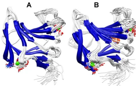 Figure II.6 : Ribbon representation of the NMR-determined 20-structure ensemble of  Ct CBM11  at 25 ºC ( A ) and 50 ºC ( B )