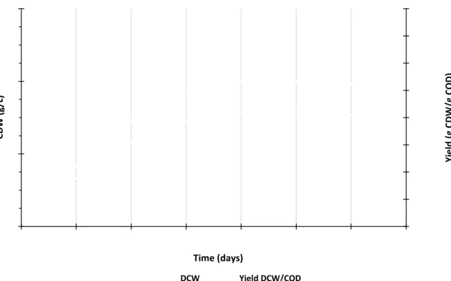 Figure 4.2  –  Cell dry weight, in g CDW/L, and yield of biomass, in g CDW/g COD