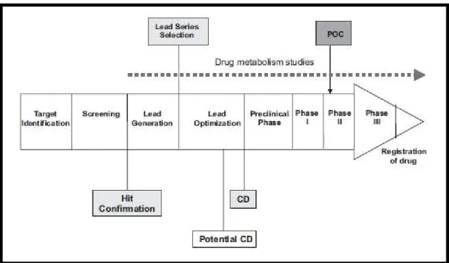 Figure 1.4  –  Drug development workflow, adapted from (30). CD  –  Candidate Drug; POC  –  Proof of  concept
