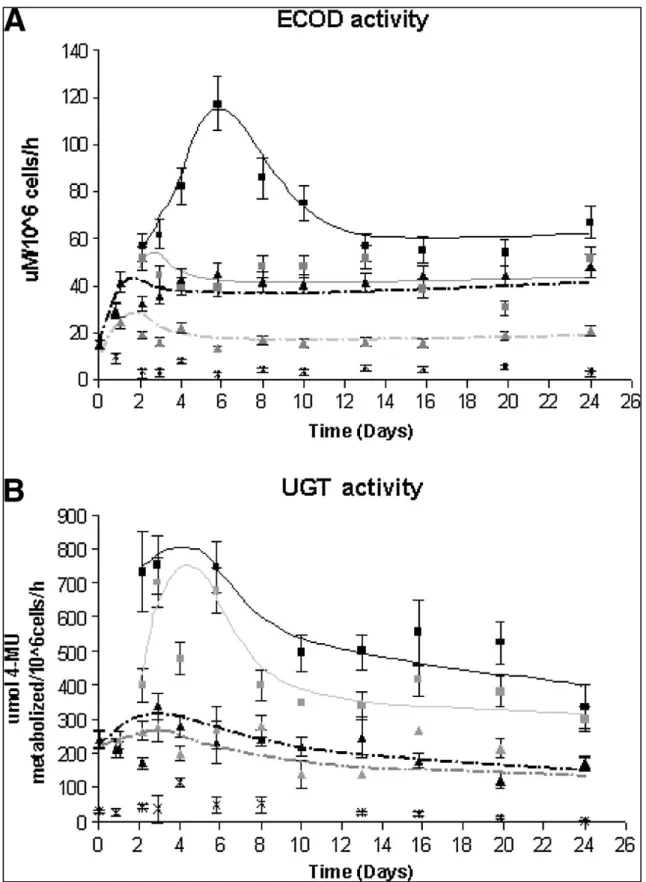 Figure 2.4  –  (A) ECOD and (B) UGT activities in rat hepatocytes cultured as encapsulated aggregates in bioreactor  (––) and spinner (––); nonencapsulated aggregates in bioreactor (––) and spinner (––), and as monolayer  ( – x – ), 2D