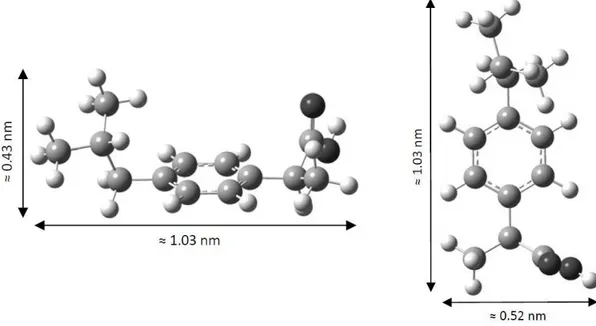 Figura  8  -  Arranjo  dos  átomos  do  ibuprofeno  no  espaço  apresentando  as  distâncias  interatómicas  estimadas  de  acordo com a  modelização  molecular realizada com o Gaussian 03 usando o método semi-empírico PM3 (Mestre,  Pires et al., 2007)