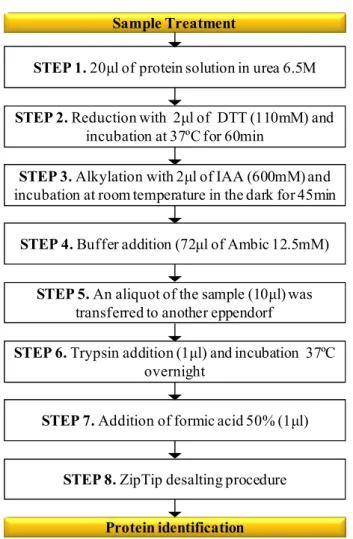 Figure III.1. Classic sample treatment for in-solution protein digestion. 