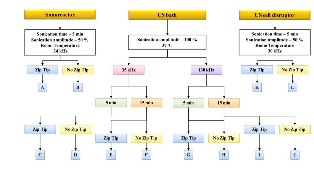 Figure III. 2. Sonication time, sonication amplitude, frequency of sonication, and temperature of the different sample treatments investigated