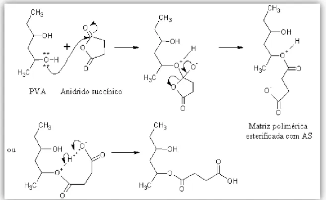 Figura 3.2  –  Mecanismo da reacção do PVA com anidrido succínico 