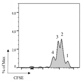 Figure 10 CD8 +  T cell proliferation induced by B cells. T cells are CFSE labelled and is shown four  proliferative peaks