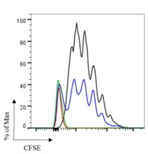 Figure 13 T cell proliferation. In this data is shown CD8 +  T cells co-cultured with B cells and CD4 +  T  cells (in black is shown the sample irradiated with 1000 rad after 4 days of B cell incubation; in blue the  non-irradiated sample)