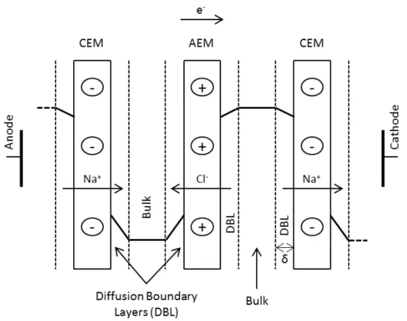 Figure 2.3. Schematic representation of electrical potential and concentration profiles in a RED cell pair  (CEM – cation-exchange membrane, AEM – anion-exchange membrane)