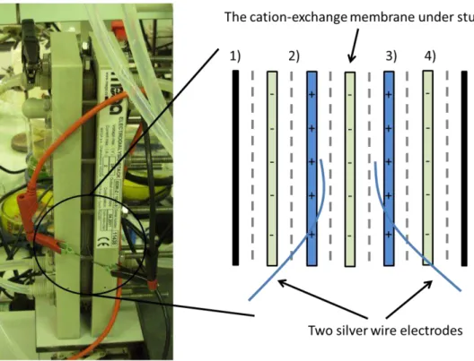 Figure  3.2.  Illustration  and  scheme  of  the  RED  stack  installation  used  during  the  electrochemical  measurements:  1)  Ti/Pt  electrode,  2)  gasket,  3)  anion-exchange  membrane,  4)  cation-exchange  membrane