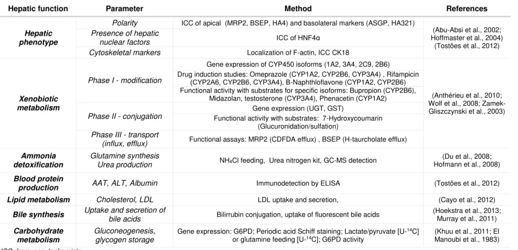 Table 1.1 List of hepatic parameters that may be applied to evaluate the hepatic functionality of an in vitro model