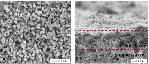 Figure 5. SEM images of surface (a) and cross section (b) of ZSM-5 zeolite membranes  tested in this study