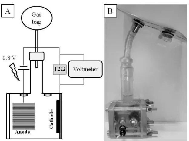 Figure 2.3. Schematic representation (A) and real image (B) of c-MEC 