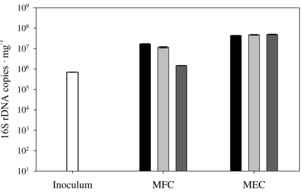 Figure  3.7.  qPRC  results  of  Geobacter  (mean  of  triplicate  values    standard  deviation)  in  the  inoculum and anodes of MFC and MEC