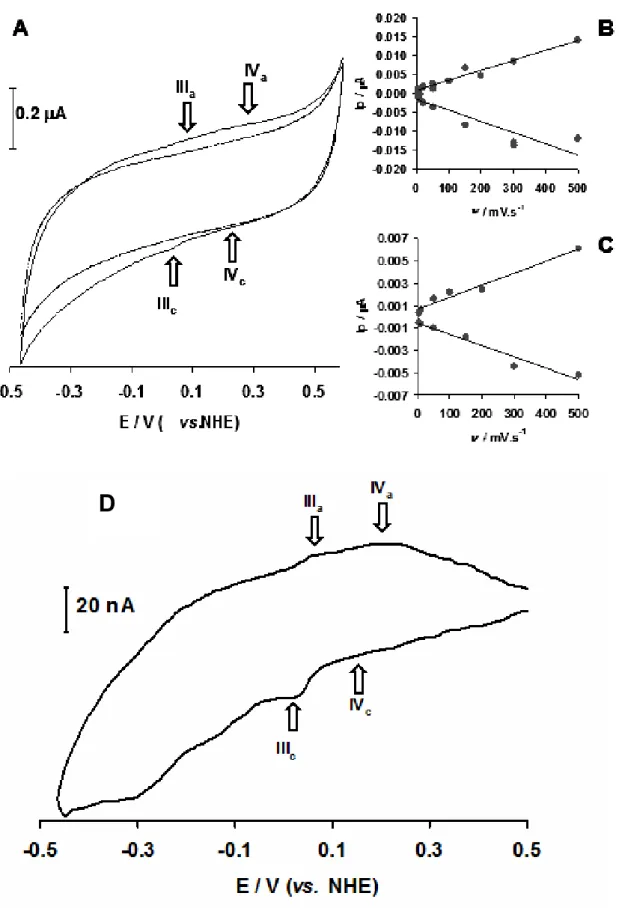 Figure 3.3 – Low–spin electron transfer heme redox processes. Panel A shows the low scan rate cyclic  voltammogram (20 mV.s -1 ) of the immobilized Pseudomonas nautica NOR on a graphite electrode (black  line) and control experiment (without protein, dashe