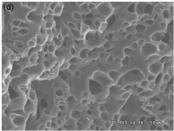 Figura  1-10 - Imagem SEM da morfologia Swiss Cheese onde o compósito foi lavado para se  retirar o cristal líquido (Han 2006) 