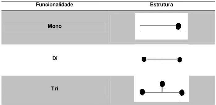 Tabela 1-2  –  As diferentes estruturas dos monómeros utilizados no trabalho experimental  