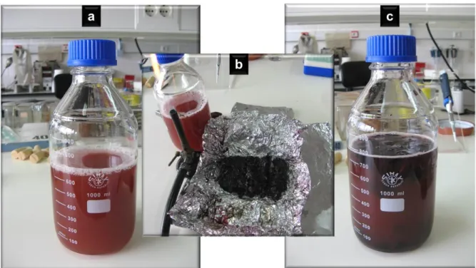 Figura 2.3: Preparação das massas vínicas: (a) frasco com mosto TN; (b) massas prensadas; e (c) frasco  com massas vínicas TN