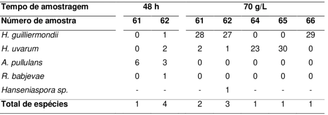 Tabela  3.5:  Diversidade  de  leveduras  detectadas  na  vinha  de  Montemor-o-Novo  nas  amostragens  efectuadas às 48 h e após perda de peso de 70 g/l