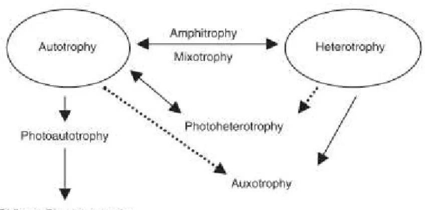 Figura  1.1.:  Várias  vias  metabólica  possíveis  para  a  nutrição  de  microalgas,  onde  o  crescimento  autotrófico e heterotrófico são os mais importantes [8]