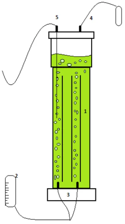 Figura 2.1.: Esquema de um fotobioreactor (FBR) vertical alveolar para o cultivo autotrófico de microalgas