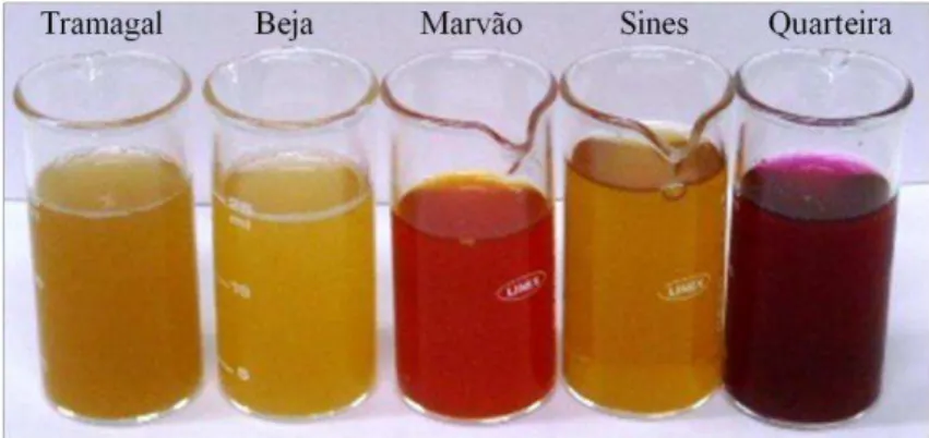 Figure 3.2. Opuntia spp. fruit juices from Tramagal, Beja, Marvão, Sines and Quarteira