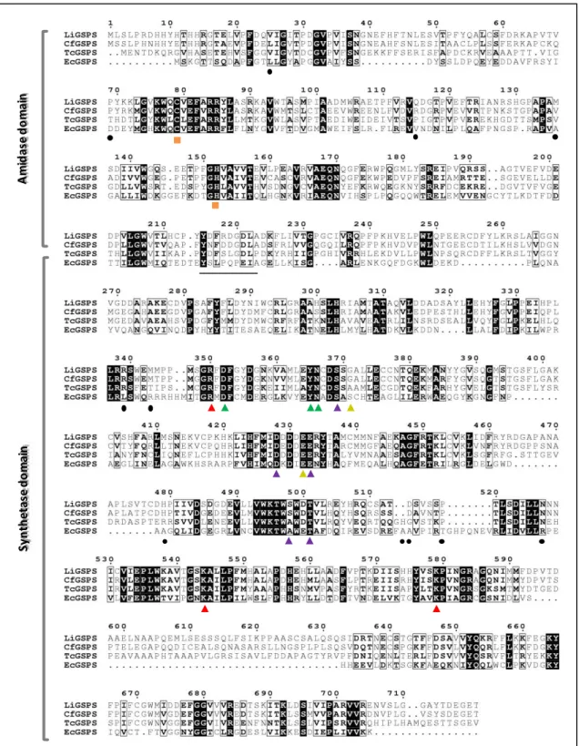 Figure 2.2. Alignment of the predicted amino acid GSPS sequences for different organisms