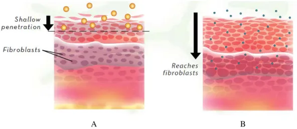 Figure  1.23.  Comparison  between  the  effectiveness  of  large  conventional  skin  care  systems  (A)  and  microemulsions formulations (B) (124) 