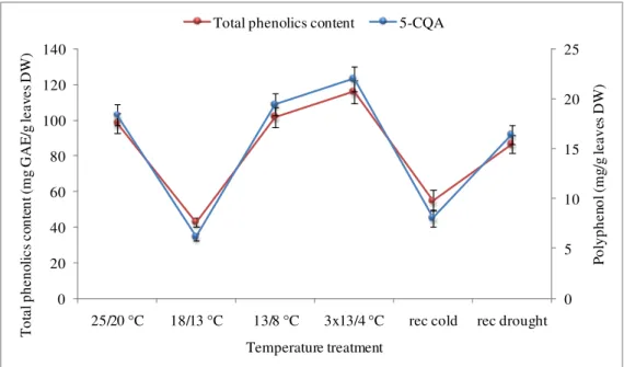 Figure 3.14 Comparison between 5-CQA and total phenolic content profile in response to cold treatment  in Obatã (at severe drought)