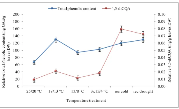 Figure  3.16  Comparison  between  4.5-diCQA  and  total  phenolic  content  profile  in  response  to  cold  treatment in Obatã (at control condition)