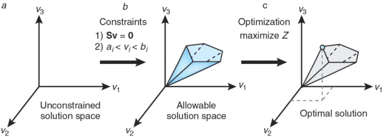 Figure  1.1:  The  theoretical  basis  of  constraint-based  modelling  and  FBA.  a  –   Without  con- con-straints, the hypothetical flux distribution of a biological network can be set anywhere in the  solu-tion space (any combinasolu-tion of metabolic 