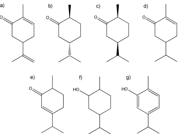 Figure  3.1  –  The  chemical  structure  of  carvone  and  the  hydrogenation  products:  a)  carvone,  b)  trans- trans-carvomenthone, c) cis-trans-carvomenthone, d) carvotanacetone, e) carvenone, f) carvomenthol, g) carvacrol